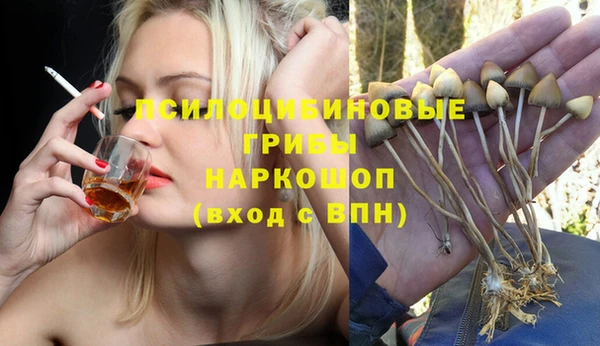 ешки Медвежьегорск