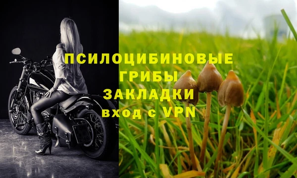 ALPHA-PVP Михайловка