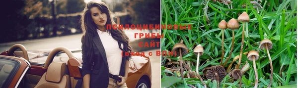 гашиш Михайлов