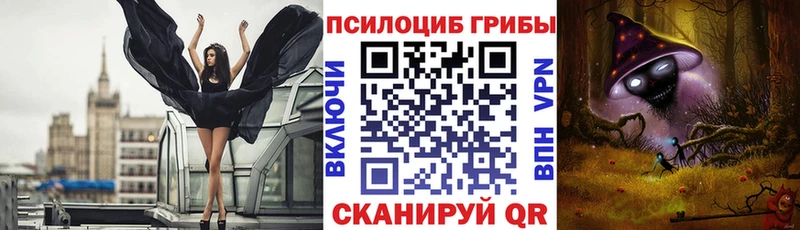 продажа наркотиков Разумное Псилоцибиновые грибы Psilocybine cubensis
