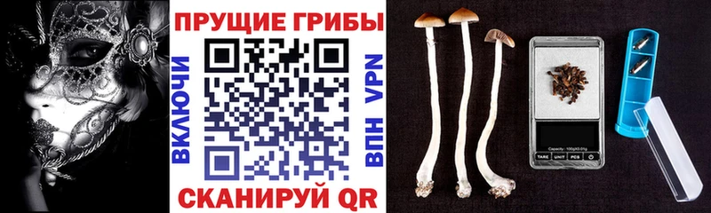 Псилоцибиновые грибы GOLDEN TEACHER Разумное